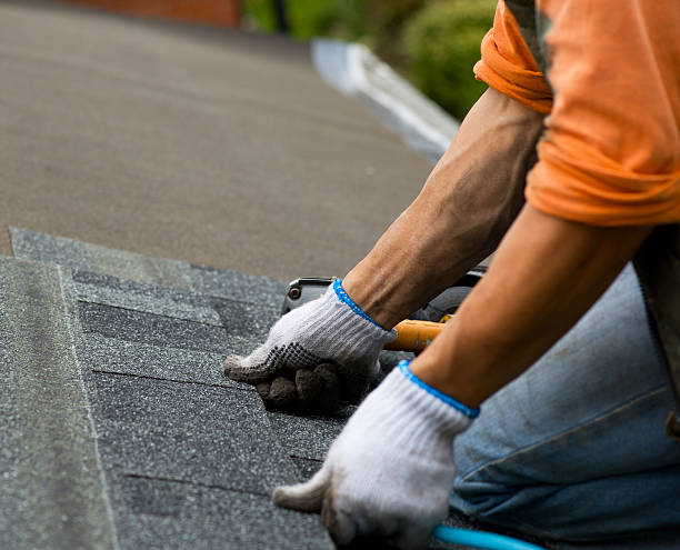 Professional Roofing Contractor in Wyoming, MN